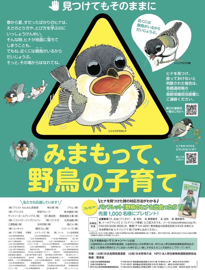 当院からのお知らせ 年6月 西所沢の犬 猫 小動物の病気なら星の宮動物病院